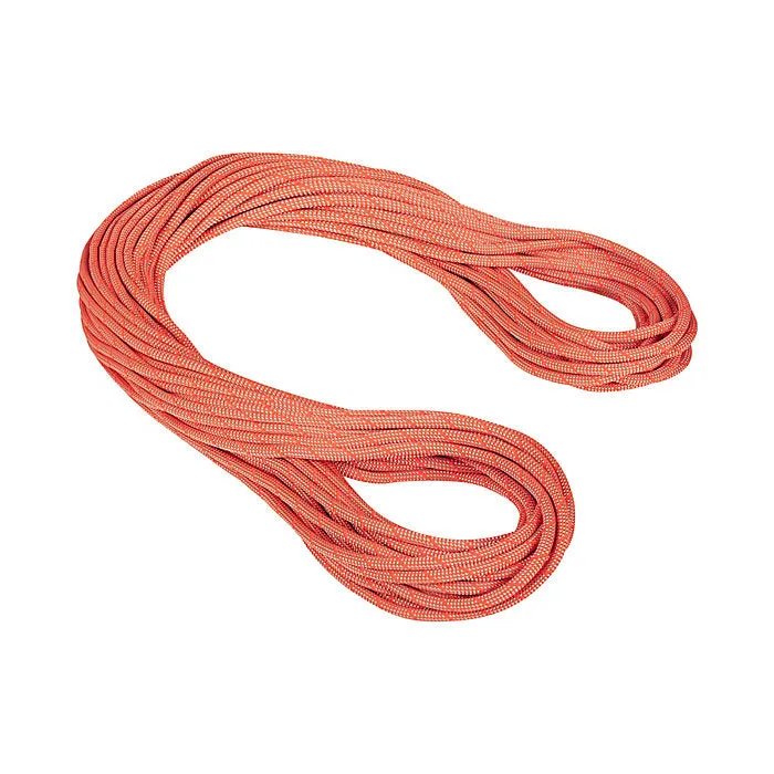 9.8 Crag Classic Rope