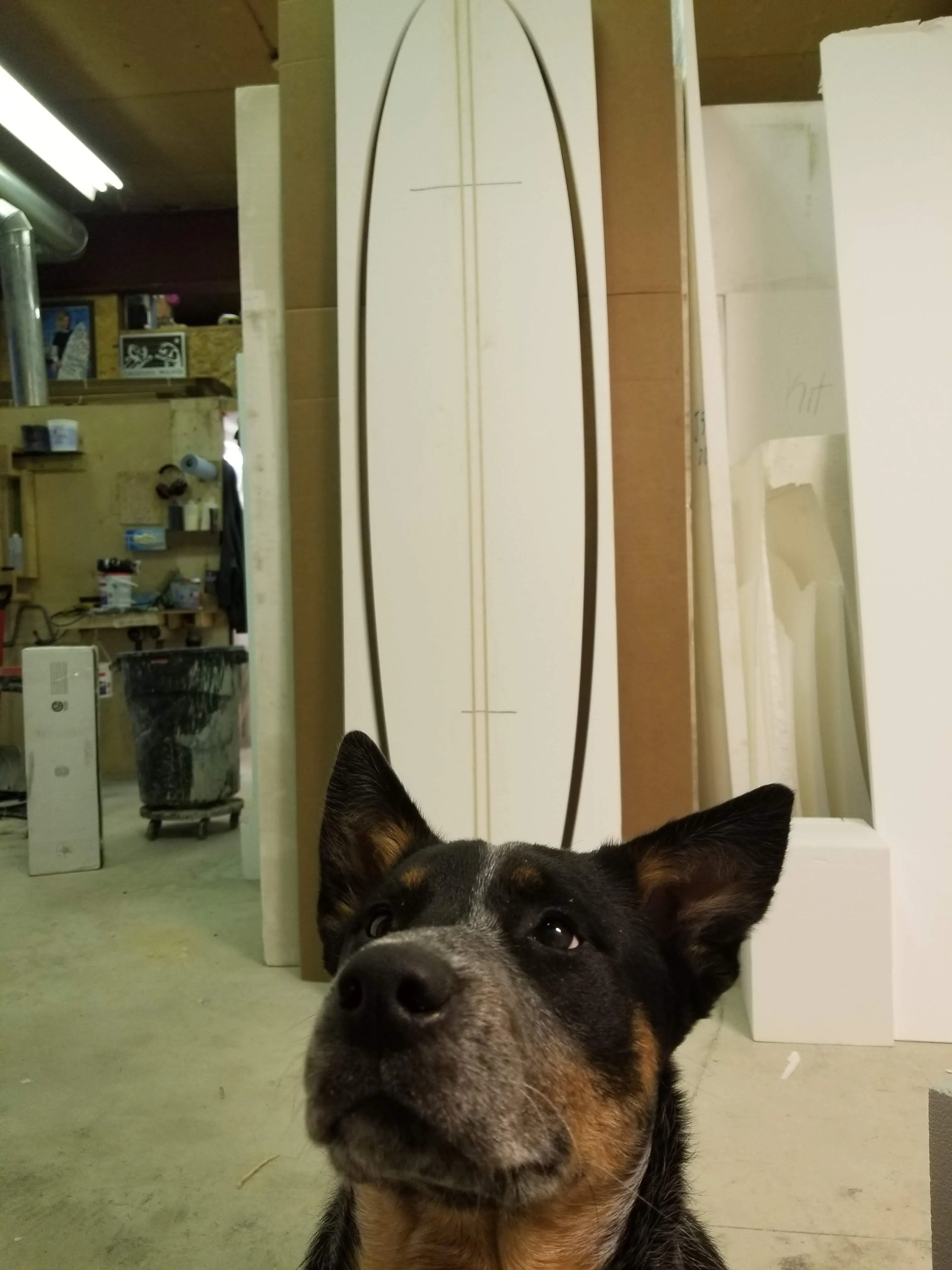 Custom Designed Engineered EPS Foam Blank 7'7" - 8'11" Long